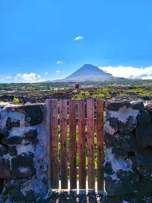 1-day jeep tour on Pico Island - Azores - Key things to know before you go