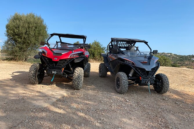 1 Day Tour - Driving the buggy safari experience: fun, but with structure