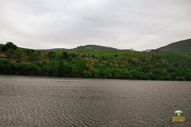1-Hour Rabelo Boat Trip in Pinhão - The audio guide is the difference between calm and boring