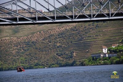 1-Hour Rabelo Boat Trip in Pinhão - From Pinhão to Roncão: the signature run on the Douro