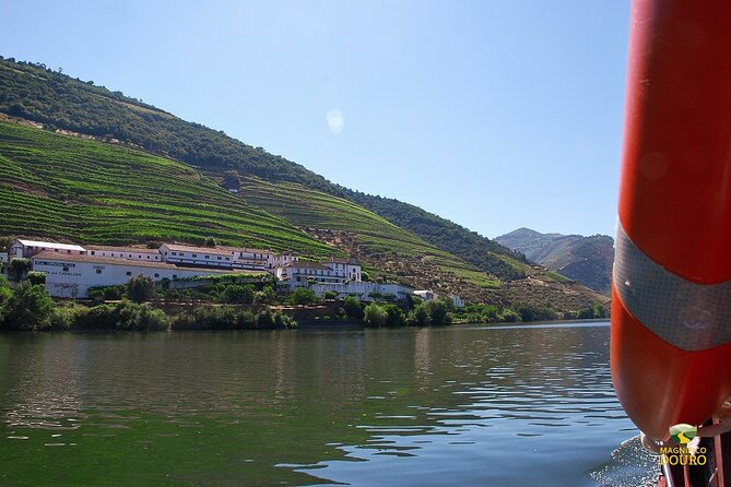 1-Hour Rabelo Boat Trip in Pinhão - Timing and crowds: how to protect your comfort and photos