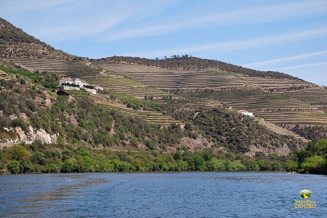 1-Hour Rabelo Boat Trip in Pinhão - Price value: $18 for a boat ride with UNESCO views