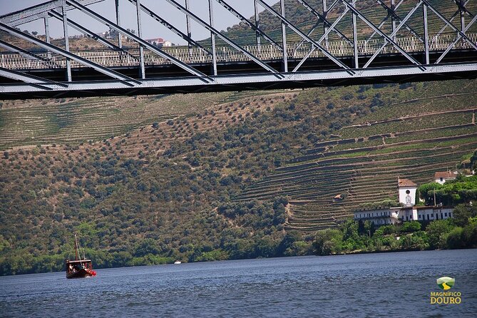 1-Hour Rabelo Boat Trip in Pinhão - From Pinhão to Roncão: the signature run on the Douro