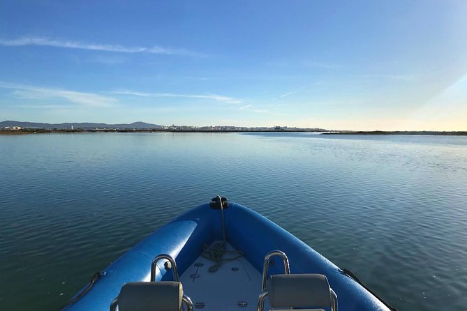 1 or 2 Hour Speed Boat Tour - Ria Formosa - Faro’s Speed Boat Through Ria Formosa: What You Actually Get in 1–2 Hours