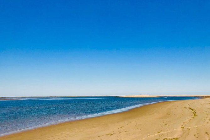 1 or 2 Hour Speed Boat Tour - Ria Formosa - Ria Formosa Natural Park: Barrier Islands, Six Inlets, and Bird Seasons