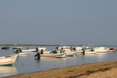 1 or 2 Hour Speed Boat Tour - Ria Formosa - Channels and Secret Spots: How the Ride Feels Different From a Usual Boat Trip