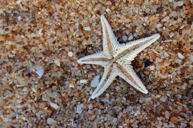 1 or 2 Hour Speed Boat Tour - Ria Formosa - Ilha da Culatra Stop: Three Communities on One Barrier Island