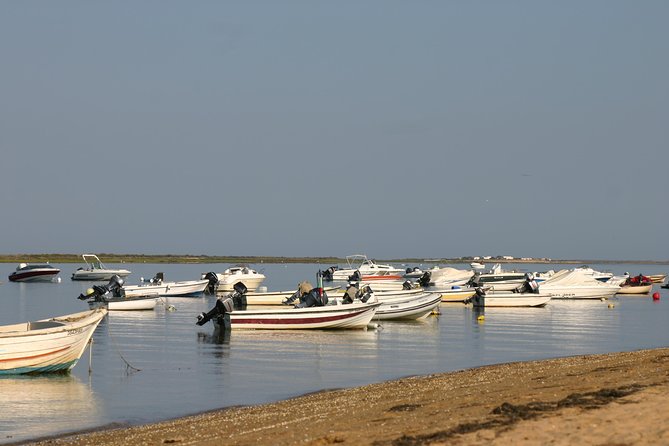 1 or 2 Hour Speed Boat Tour - Ria Formosa - Channels and Secret Spots: How the Ride Feels Different From a Usual Boat Trip