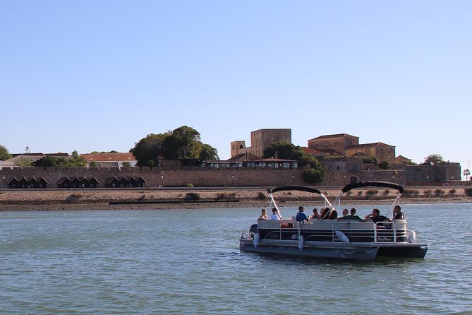 2-hour Bird Watching Guided Boat Trip in Ria Formosa from Faro Algarve - The Boat Setup: Pontoon Comfort, Shade, and Real Viewing Time