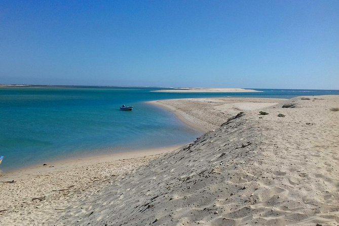 2-hour Bird Watching Guided Boat Trip in Ria Formosa from Faro Algarve - Faro Old Town Views at the End: Easy, Pretty, and Low-Stress