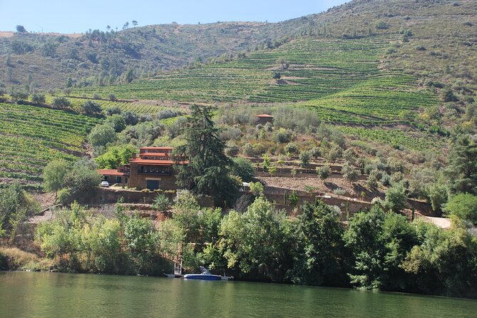 2-hour Rabelo Boat tour in Pinhão - Price and value: is $36.04 per person a fair deal?
