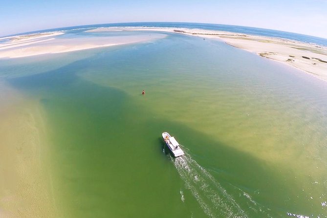 2 Hours Boat Tour in Ria Formosa - Ria Formosa Natural Park island stop: what you’re actually paying for