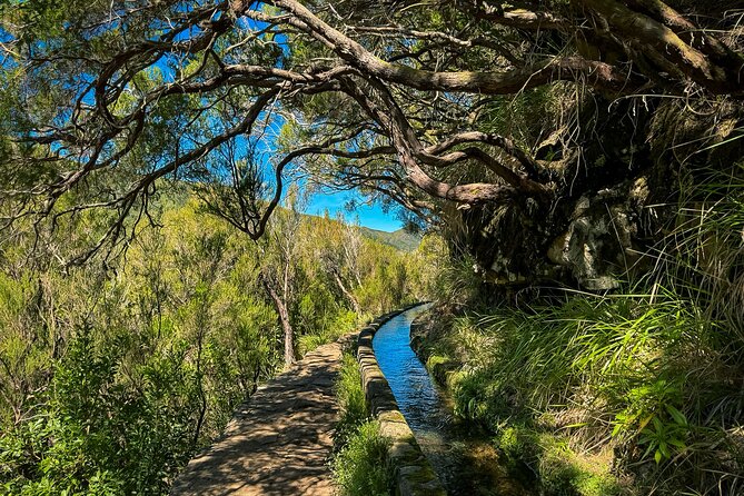 25 Fountains Levada: Hiking Tour in Madeira Rabaçal Valley (PR6) - The 800m tunnel: dark footing, short tension, big reward
