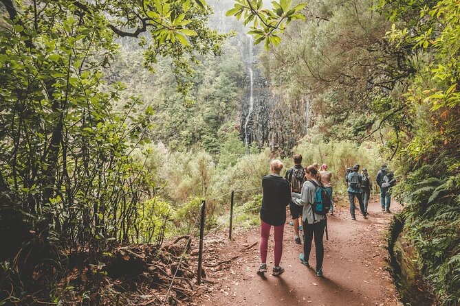 25 Fountains Levada: Hiking Tour in Madeira Rabaçal Valley (PR6) - Price and value: is $52.87 worth it?