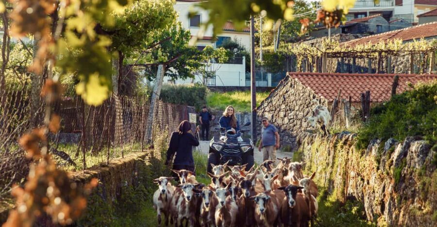 2h Quad Tour • Arcos de Valdevez • Peneda Gerês - Key things to know before you go