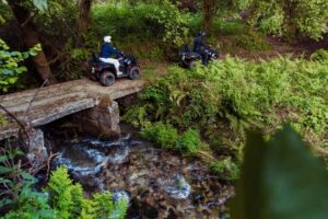2h Quad Tour • Arcos de Valdevez • Peneda Gerês - Peneda-Gerês Forests and Green Farmland: What the Route Feels Like