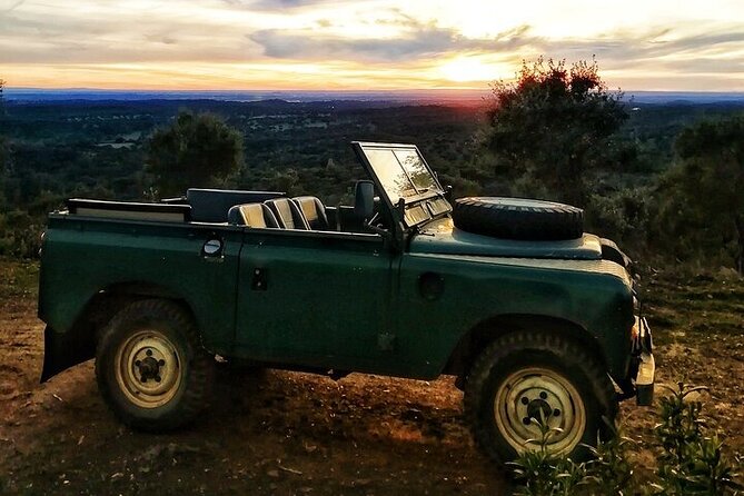 2hr Cork Safari in a Classical Land Rover - Key Highlights You’ll Care About