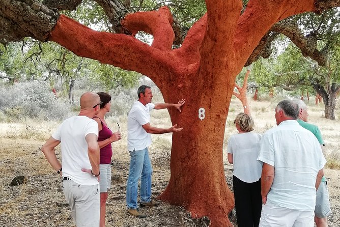 2hr Cork Safari in a Classical Land Rover - Beyond Cork: Vineyards, Olive Groves, and Iberian Pig Fatting