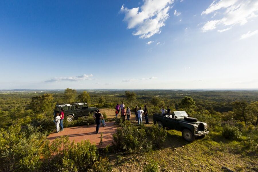 2hr Cork Safari in a Classical Land Rover - Winery Shop Stop and Corkcraft Shopping
