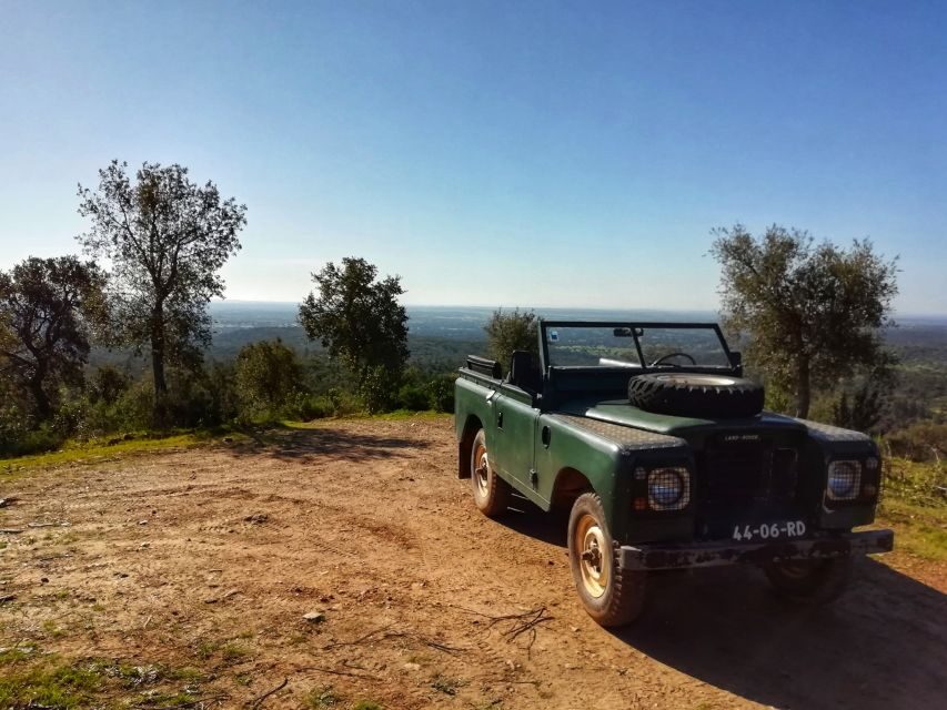 2hr Cork Safari in a Classical Land Rover - Value for Money: What $153 Buys You in Real Terms
