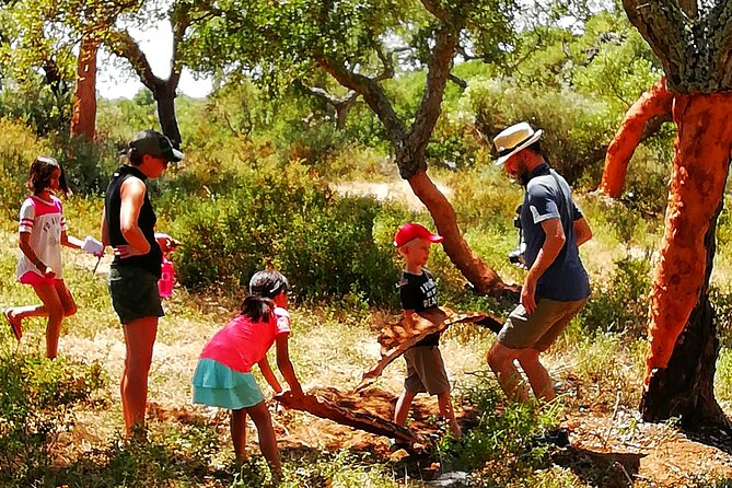 2hr Walk in a Cork Forest - Walking into an Alentejo cork forest (near Évora) for real answers
