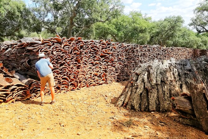 2hr Walk in a Cork Forest - What you’ll see beyond cork: wine, pork, and honey