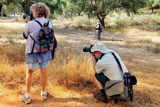 2hr Walk in a Cork Forest - Weather matters here—and the guide is part of the solution