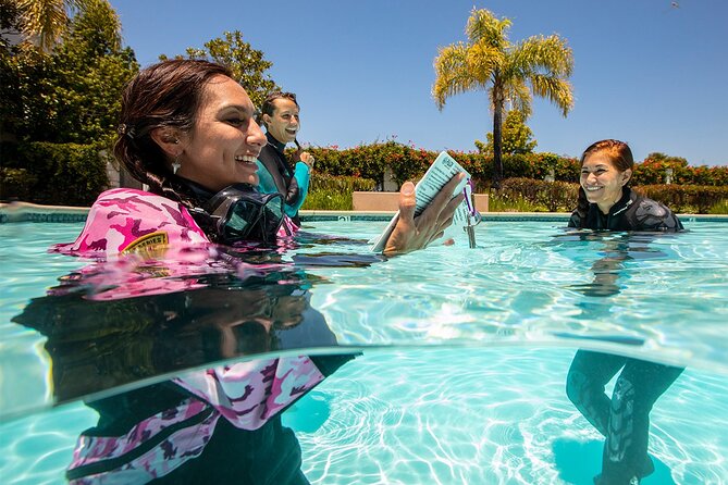 3 days Open Water Course | Scuba Diving - Getting Certified in Funchal’s Training-Friendly Setup