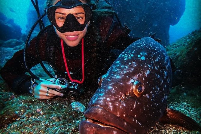 3 days Open Water Course | Scuba Diving - Day 1 Style: Classroom Basics and Pool Control