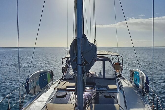 3 Hour Boat Trip to Ponta da Piedade - Key highlights I’d put first