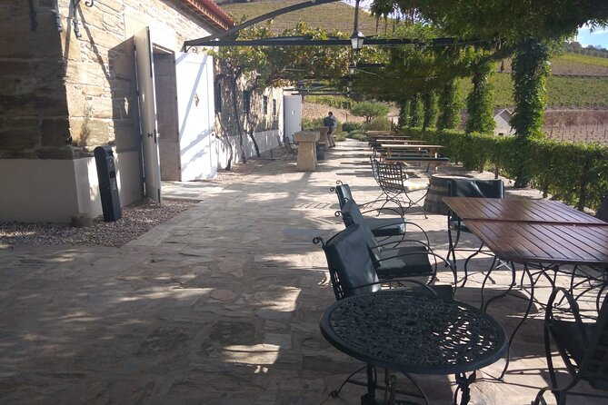 3-Hour Tour to Discover Pinhão - Moment of Discovery - From river to Quinta: an efficient minivan hop