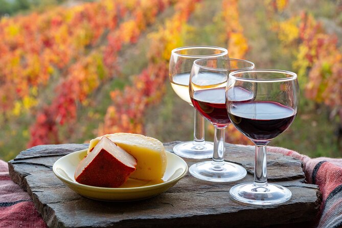 3-Hour Tour to Discover Pinhão - Moment of Discovery - Inside the Quinta: a guided farm visit plus tastings
