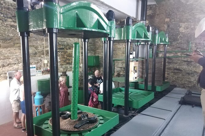 3-Hour Tour to Discover Pinhão - Moment of Discovery - Who this Pinhão tour fits best (and who should choose longer)