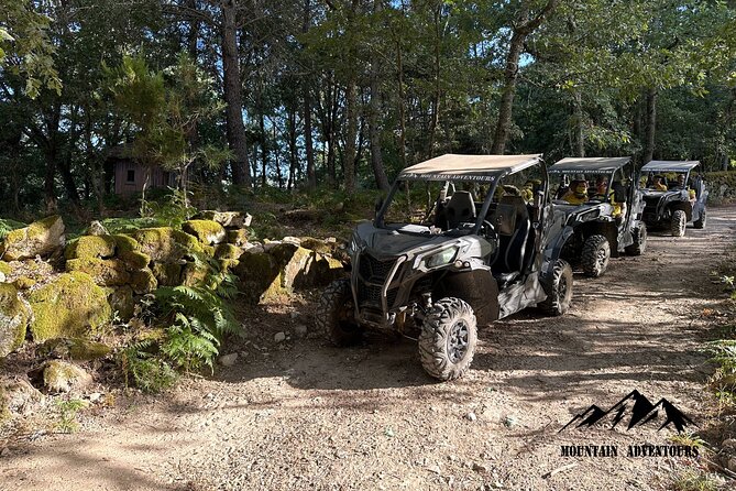 30 minutes Buggy Ride - Key things to know before you go