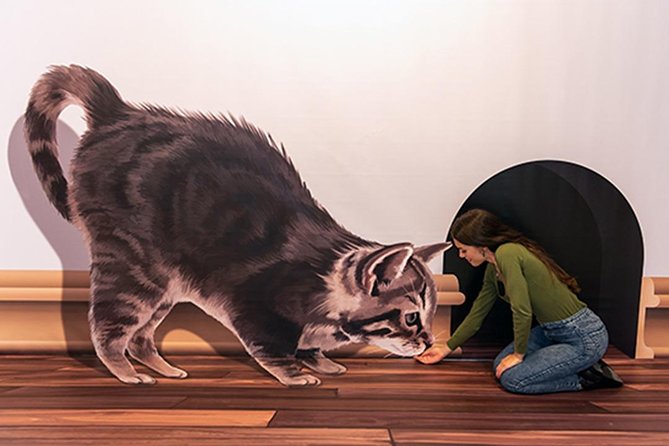 3D Fun Art Museum Funchal - Your 40-scenario tour: from Van Gogh to outer space