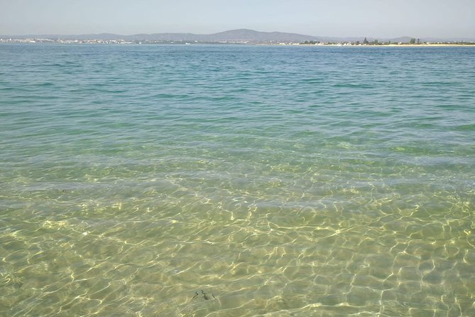 4-Hour Private Boat Tour in Ria Formosa - Ria Formosa Natural Park: 3 Hours of Lagoon Talk and Wildlife