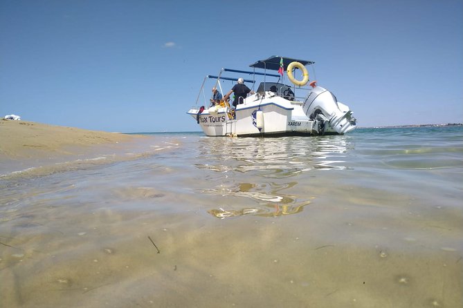 4-Hour Private Boat Tour in Ria Formosa - Price and Value: $503 Per Group for Up to 12 in the Algarve