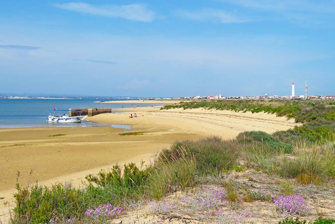 4-Hour Private Boat Tour in Ria Formosa - Should You Book This 4-Hour Private Ria Formosa Boat Tour?