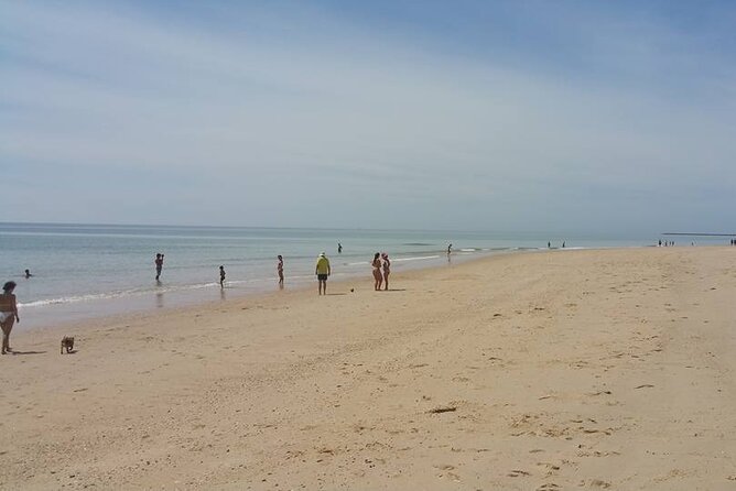 5-hour tour with 3 stops around the islands and beaches of Ria Formosa - Stop Two: Island and Beach Time You Can Actually Use