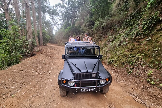 5 Hours Private tour To Porto Moniz, Rock pools, waterfalls - How the Private Format Changes Your Porto Moniz Visit