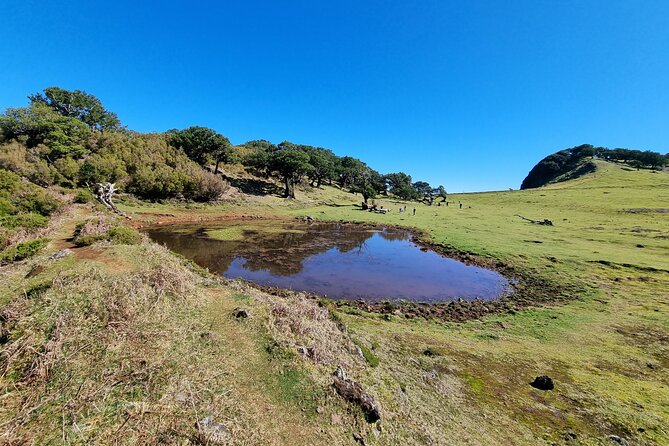 5 Hours Private tour To Porto Moniz, Rock pools, waterfalls - Ribeira da Janela: Coastal Rocks Where the Sea Feels Close