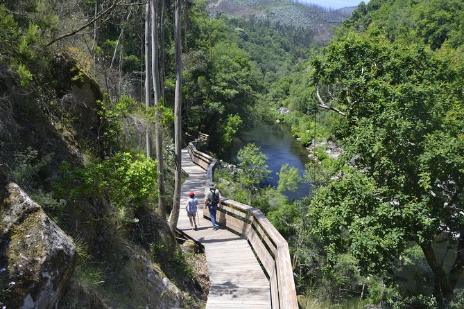 516 Arouca Bridge, Paiva Walkways and Aveiro Tour - Key things I’d focus on