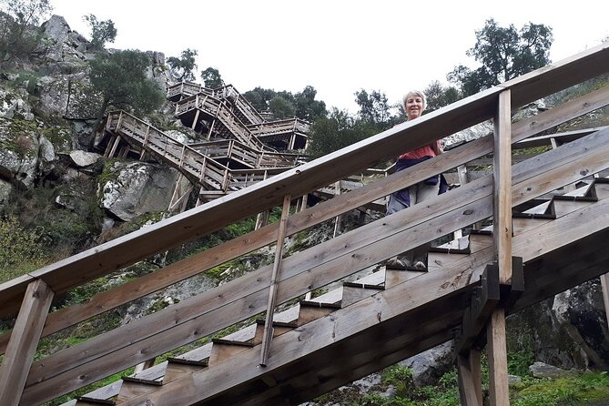 516 Arouca Bridge, Paiva Walkways and Aveiro Tour - Price and value: why $139 can make sense for a full-ticket day