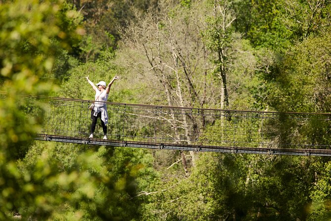 516 Arouca Bridge & Paiva Walkways Tour with Lunch from Porto - Stop 2 (and the big moment): crossing the 516 Arouca Suspension Bridge