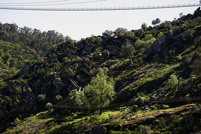 516 Arouca Bridge & Paiva Walkways Tour with Lunch from Porto - Lunch in Alvarenga: Arouquesa DPO meat and vinho verde