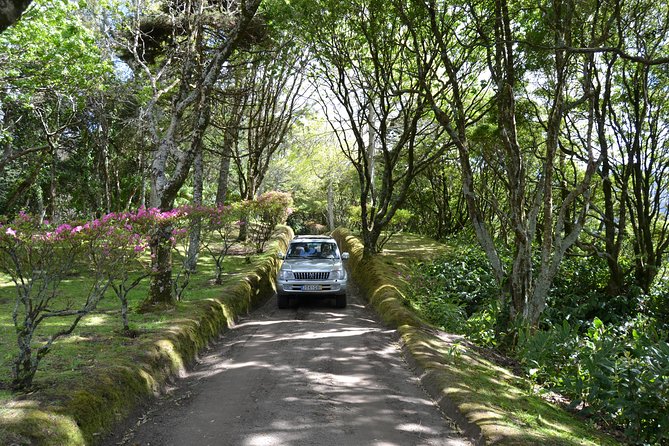 8-Hour Private Tour in 4x4 Vehicle from Ponta Delgada - Key things that make this 4x4 day work