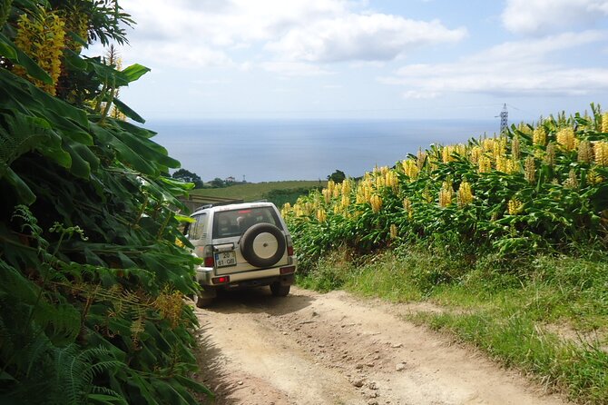 8-Hour Private Tour in 4x4 Vehicle from Ponta Delgada - Price and value: when this feels like a bargain