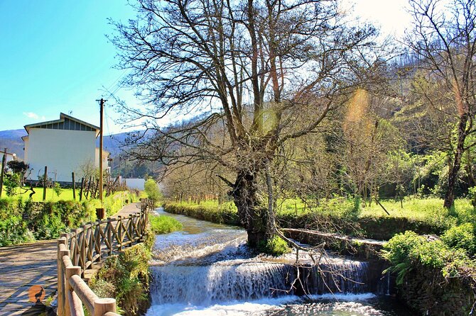 A tour between Cascades and Schist Villages, Piodão - Pickup in the Coimbra Region: Convenience That Actually Matters