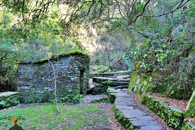 A tour between Cascades and Schist Villages, Piodão - Stop 3: Aldeia do Xisto de Benfeita and Its River Pool