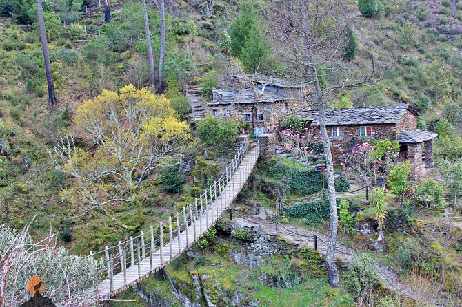 A tour between Cascades and Schist Villages, Piodão - Stop 5: Mata da Margaraca Indigenous Forest Woods